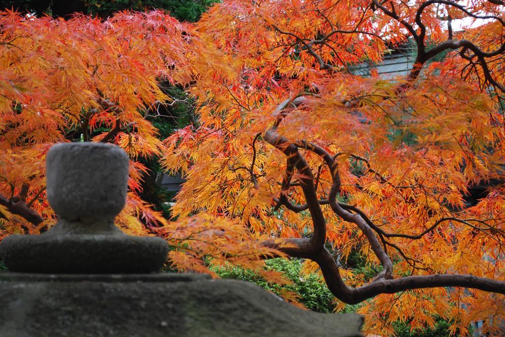 Nishiki-no-Yu Jimotoya Hotel Matsumoto Eksteriør billede